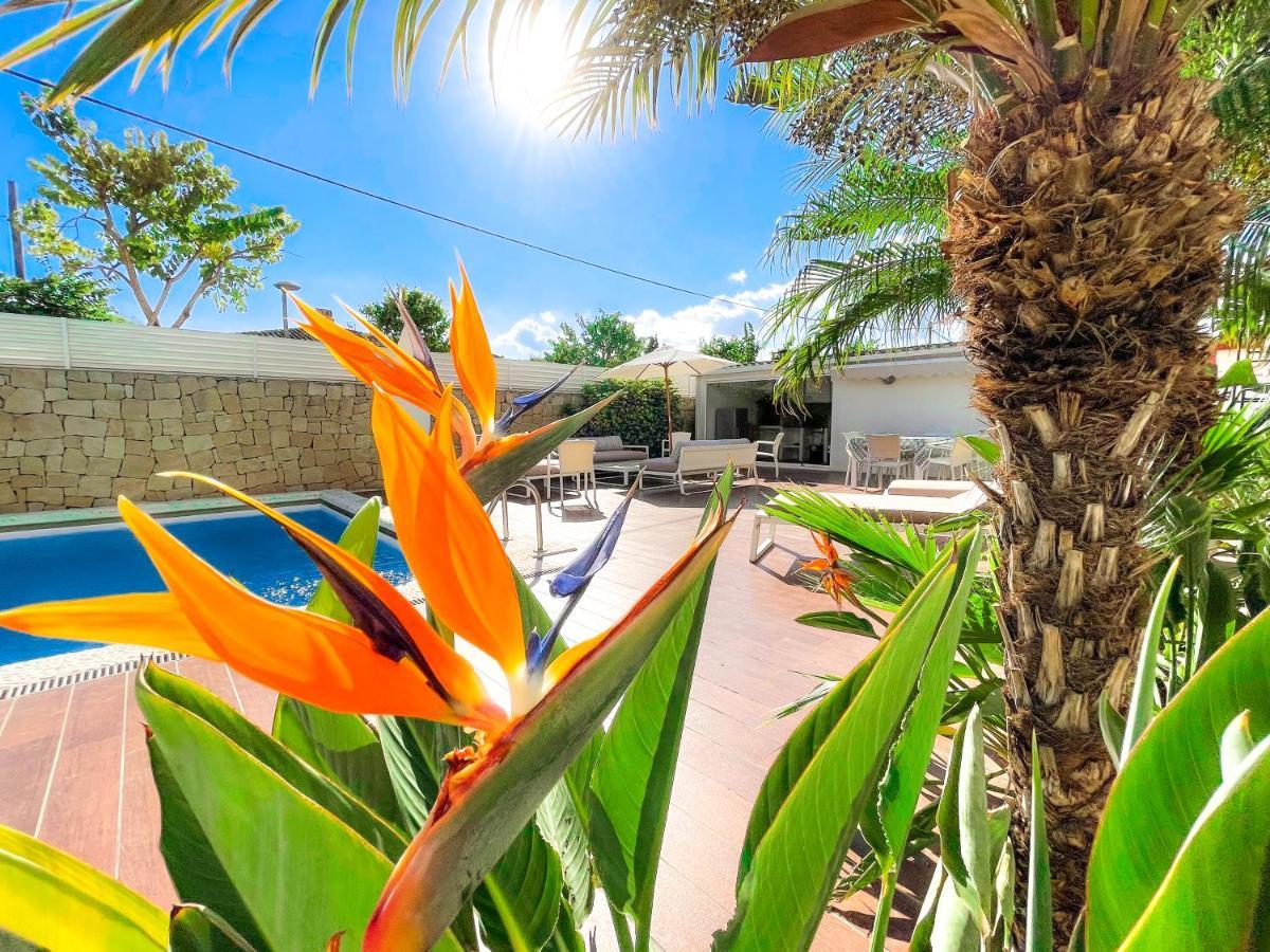 Villa Haygon Private Heated Pool, Bbq & Sauna San Vicente Raspeig Εξωτερικό φωτογραφία