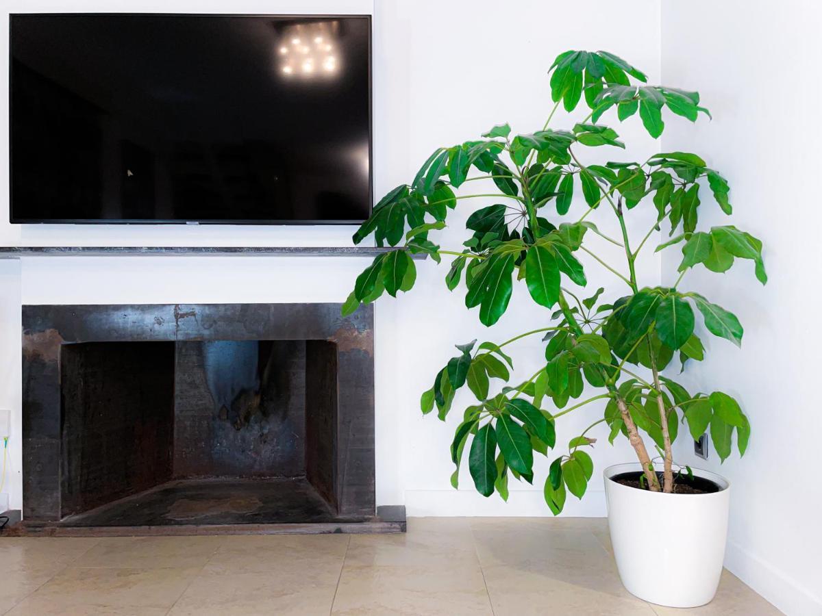 Villa Haygon Private Heated Pool, Bbq & Sauna San Vicente Raspeig Εξωτερικό φωτογραφία